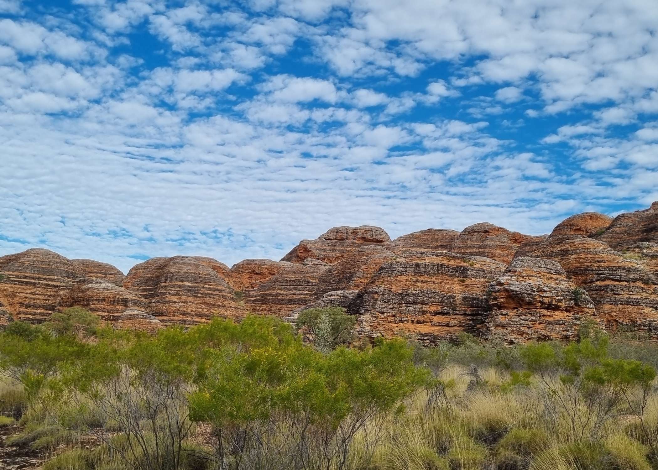 Last Minute Departures | Park Trek