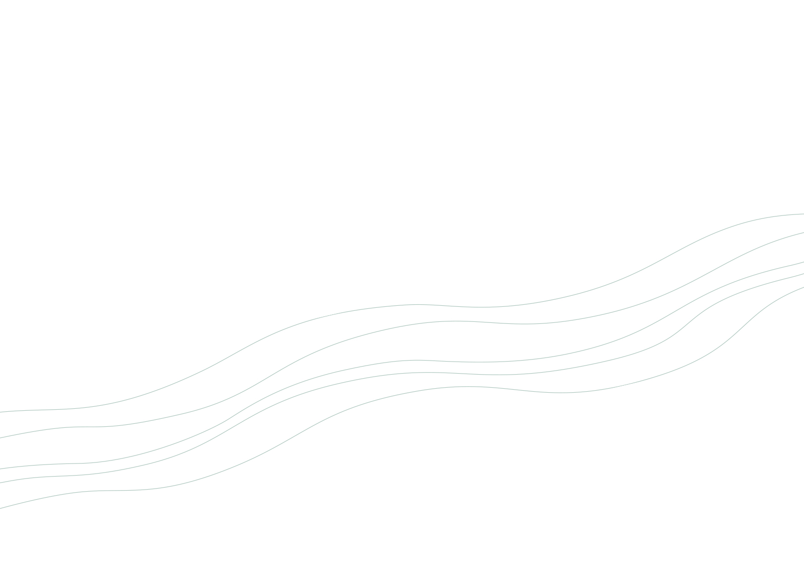 Last Minute Departures | Park Trek White Pathways