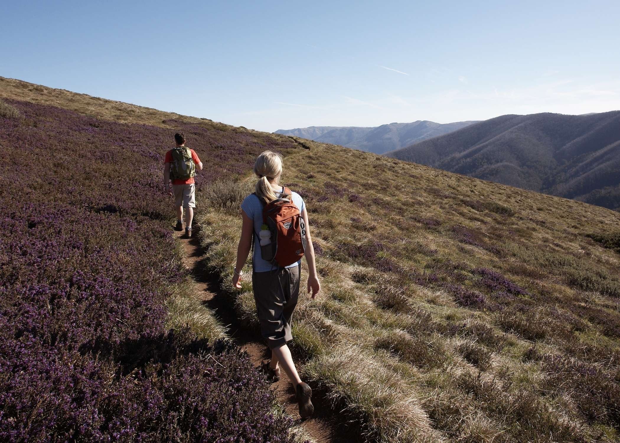 Vic-Alps-Three-Peaks-5 | Park Trek